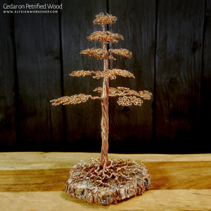Petrified Wood Sculptures