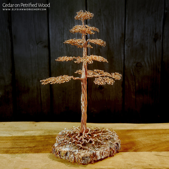 Petrified Wood Sculptures
