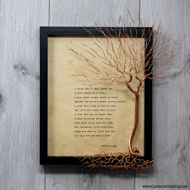 Large Typed Frames