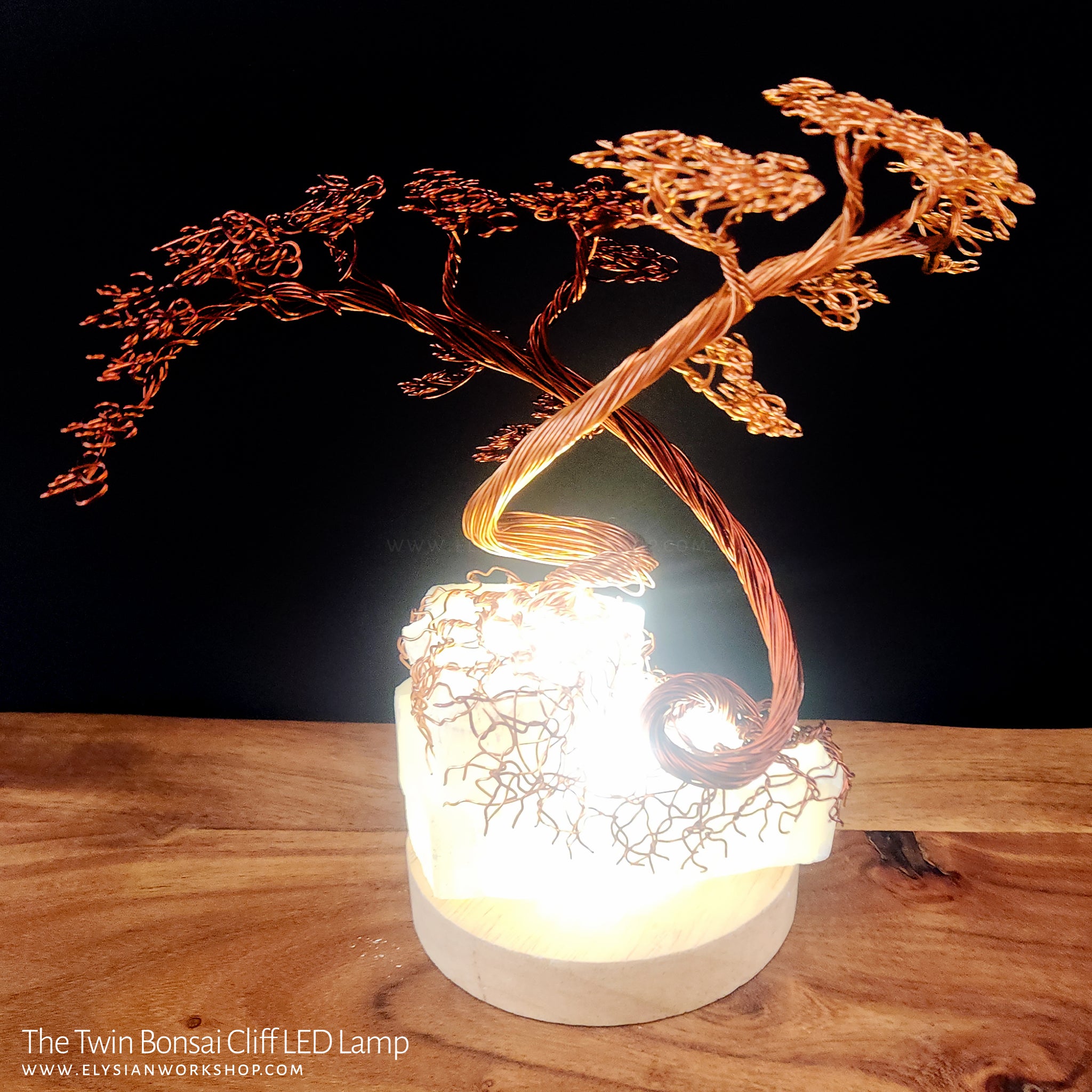 Twin Bonsai Cliff LED Lamp Copper Selenite Wire Bonsai Mood Night Light (Copy)