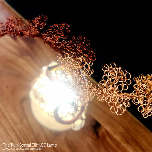 Twin Bonsai Cliff LED Lamp Copper Selenite Wire Bonsai Mood Night Light (Copy)