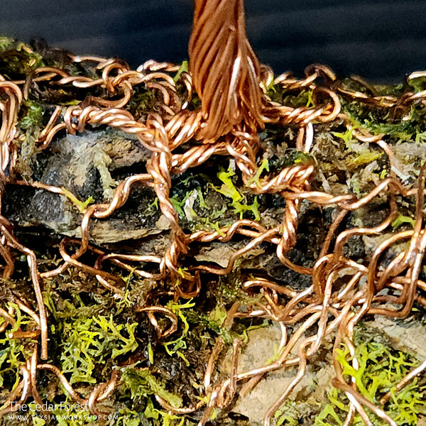 Cedar Forest Copper Wire Tres on Ohko Dragon Stone