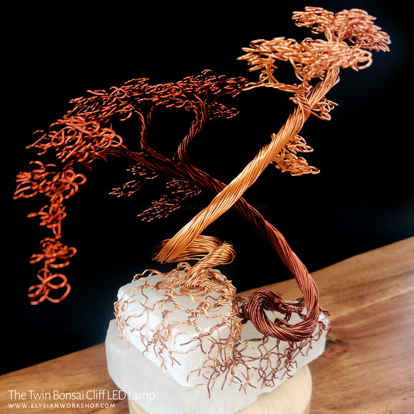Twin Bonsai Cliff LED Lamp Copper Selenite Wire Bonsai Mood Night Light (Copy)