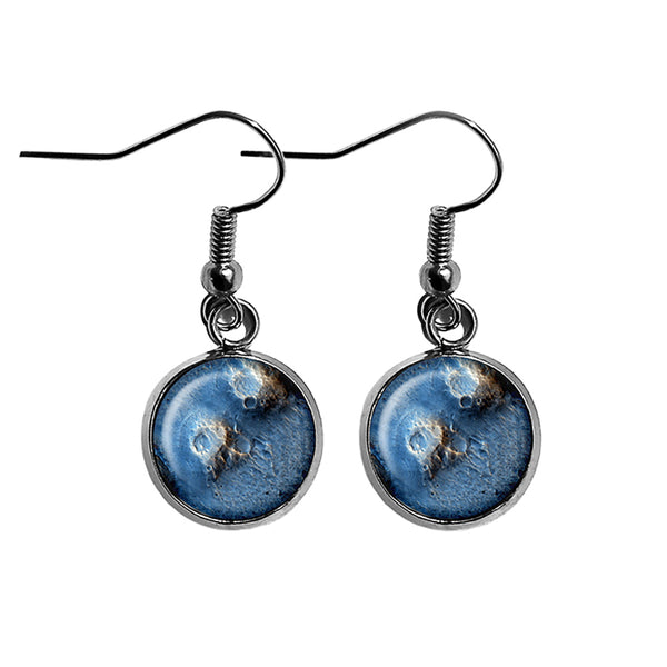 NASA Photograph The Moon Surface Surgical Steel Earrings