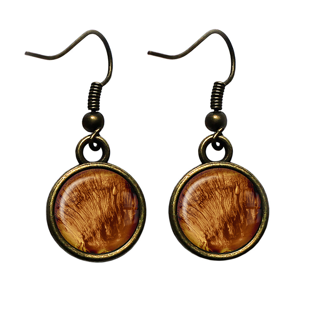 NASA Photograph Mars Surface Antique Bronze Earrings
