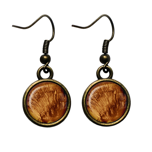 NASA Photograph Mars Surface Antique Bronze Earrings